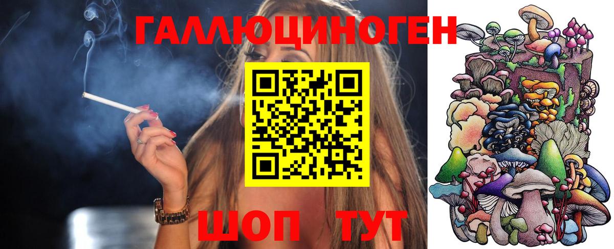 Галлюциногенные грибы Psilocybe Десногорск